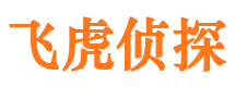 江干市私人调查